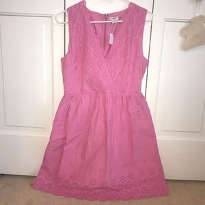 NWT J Crew dress